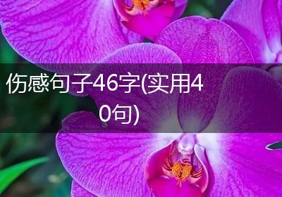 伤感句子46字(实用40句)
