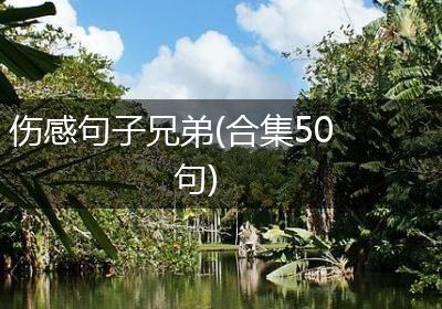 伤感句子兄弟(合集50句)