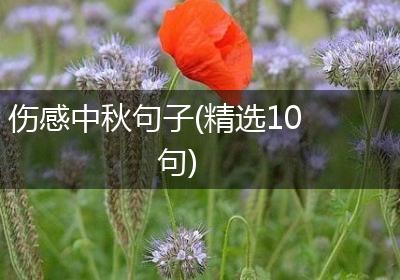 伤感中秋句子(精选10句)