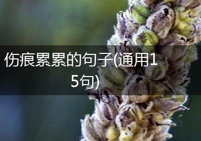 伤痕累累的句子(通用15句)