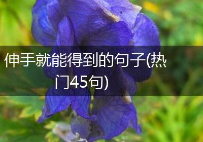 伸手就能得到的句子(热门45句)