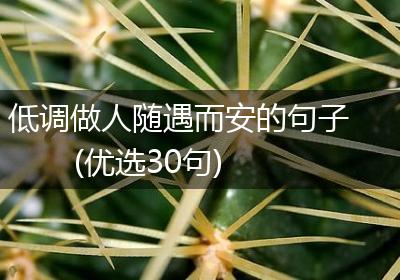 低调做人随遇而安的句子(优选30句)