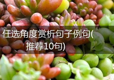任选角度赏析句子例句(推荐10句)