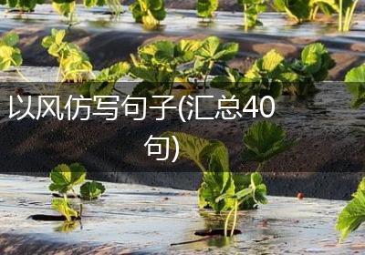 以风仿写句子(汇总40句)