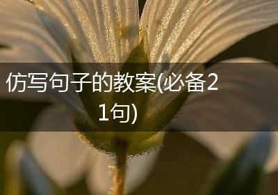仿写句子的教案(必备21句)
