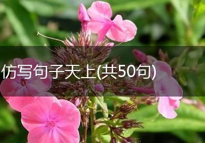 仿写句子天上(共50句)