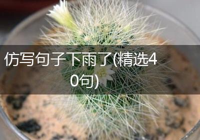 仿写句子下雨了(精选40句)