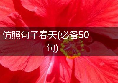 仿照句子春天(必备50句)