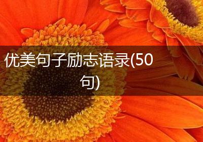 优美句子励志语录(50句)