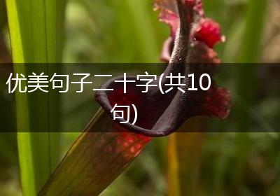 优美句子二十字(共10句)