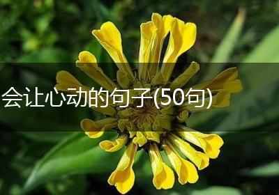 会让心动的句子(50句)