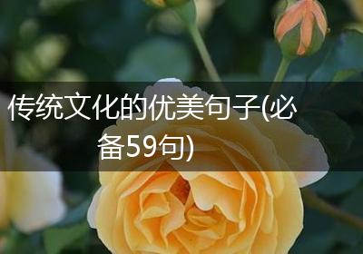 传统文化的优美句子(必备59句)