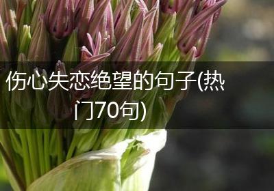 伤心失恋绝望的句子(热门70句)