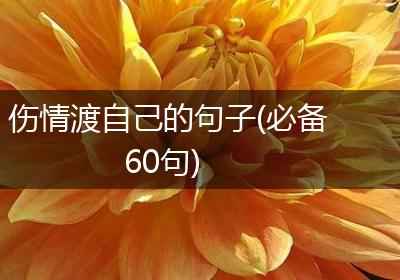 伤情渡自己的句子(必备60句)