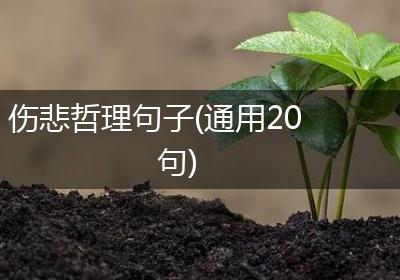伤悲哲理句子(通用20句)
