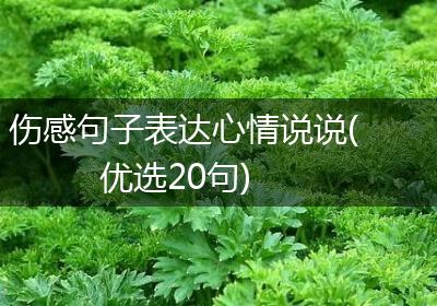 伤感句子表达心情说说(优选20句)