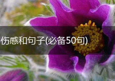 伤感和句子(必备50句)