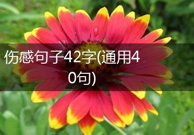 伤感句子42字(通用40句)