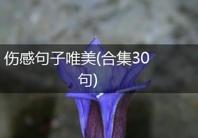 伤感句子唯美(合集30句)