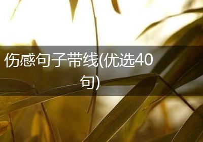 伤感句子带线(优选40句)