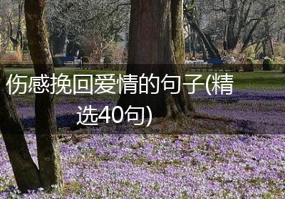 伤感挽回爱情的句子(精选40句)