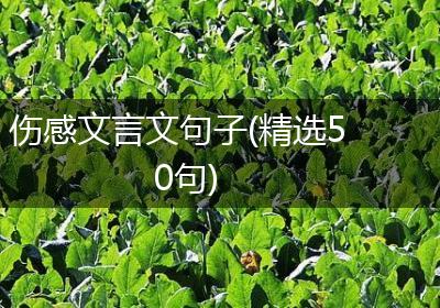 伤感文言文句子(精选50句)