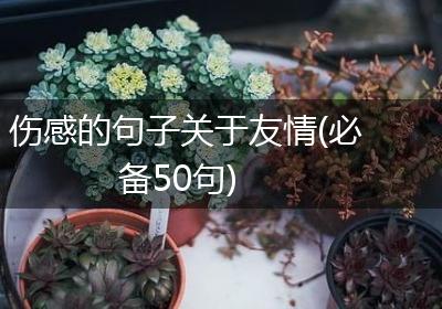 伤感的句子关于友情(必备50句)