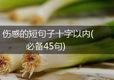 伤感的短句子十字以内(必备45句)