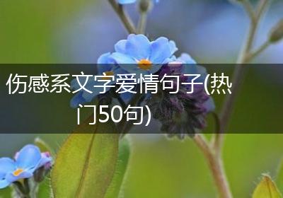 伤感系文字爱情句子(热门50句)