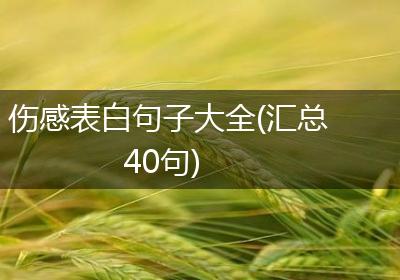 伤感表白句子大全(汇总40句)