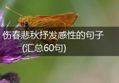伤春悲秋抒发感性的句子(汇总60句)