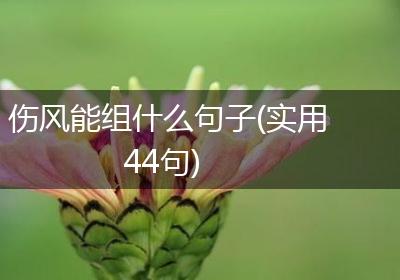 伤风能组什么句子(实用44句)