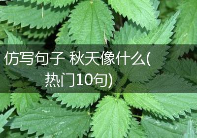仿写句子 秋天像什么(热门10句)