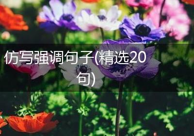 仿写强调句子(精选20句)