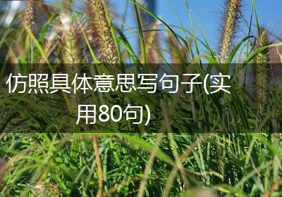 仿照具体意思写句子(实用80句)