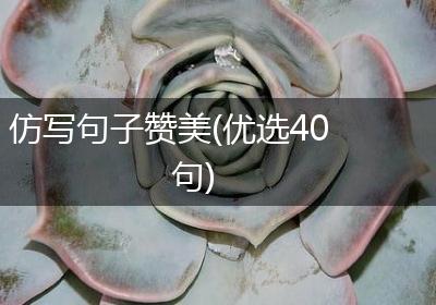 仿写句子赞美(优选40句)