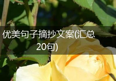 优美句子摘抄文案(汇总20句)