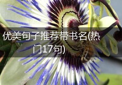 优美句子推荐带书名(热门17句)