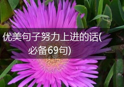 优美句子努力上进的话(必备69句)