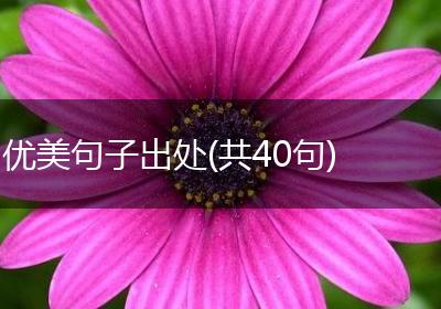 优美句子出处(共40句)