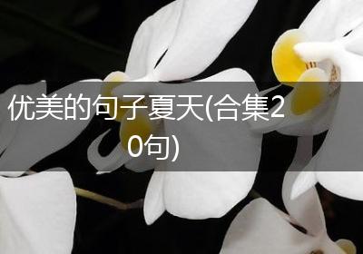 优美的句子夏天(合集20句)