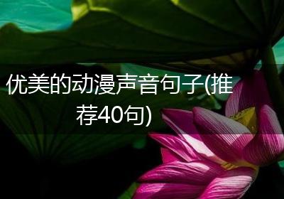 优美的动漫声音句子(推荐40句)