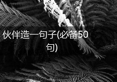 伙伴造一句子(必备50句)