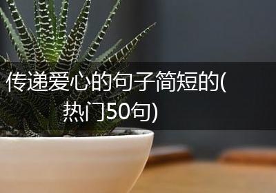 传递爱心的句子简短的(热门50句)
