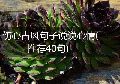 伤心古风句子说说心情(推荐40句)