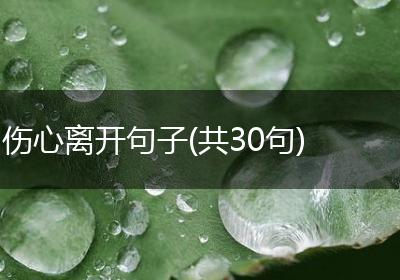 伤心离开句子(共30句)
