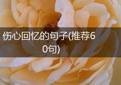 伤心回忆的句子(推荐60句)
