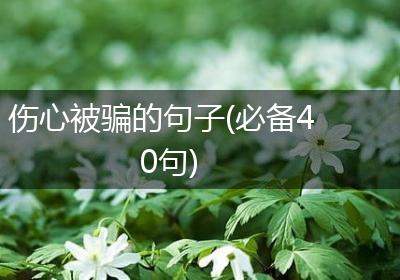 伤心被骗的句子(必备40句)