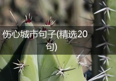 伤心城市句子(精选20句)