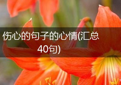 伤心的句子的心情(汇总40句)